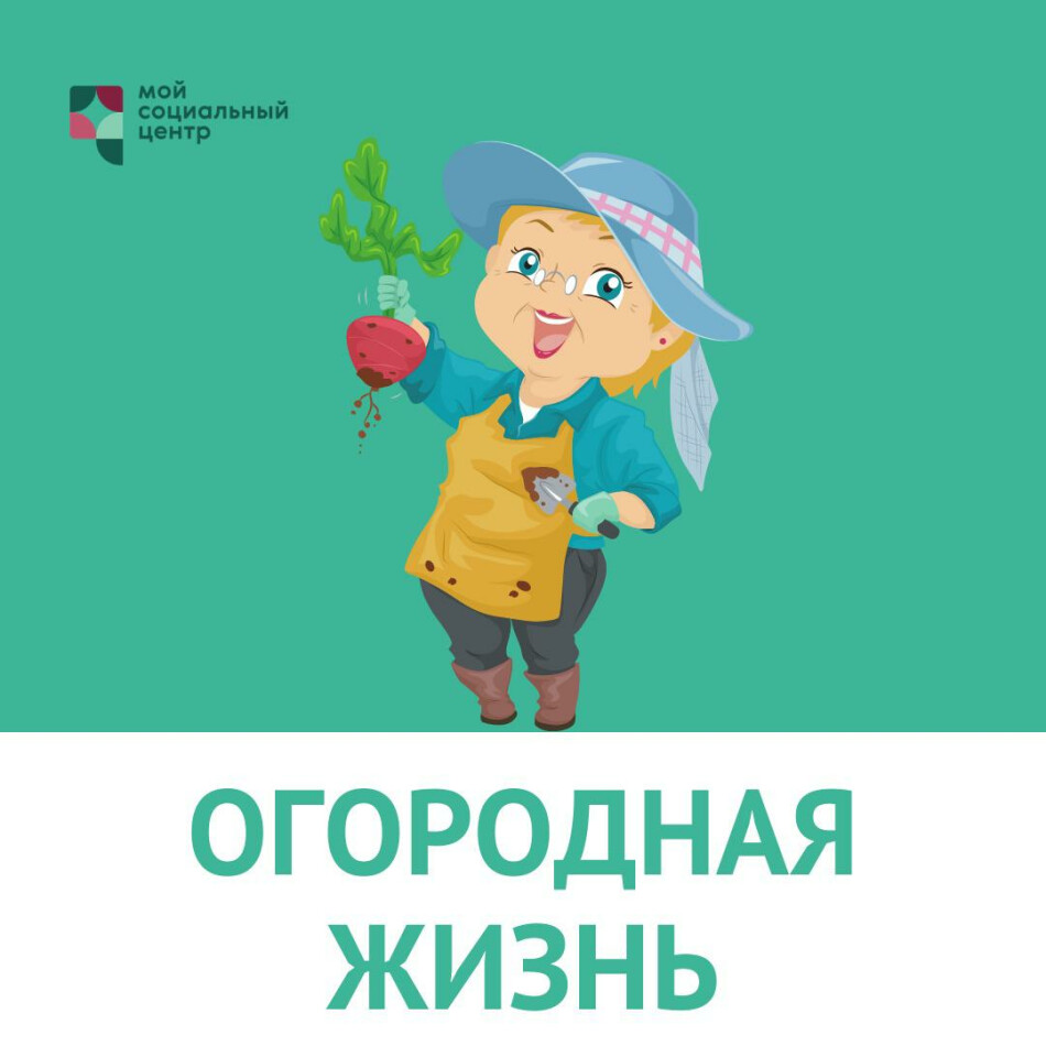 Открытая онлайн встреча участников клуба «Огородная жизнь» - Департамент  труда и социальной защиты населения города Москвы