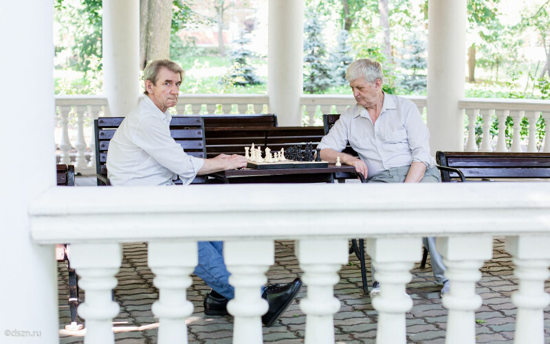 Ход конем: как шахматы помогают сохранять когнитивные функции пожилых людей