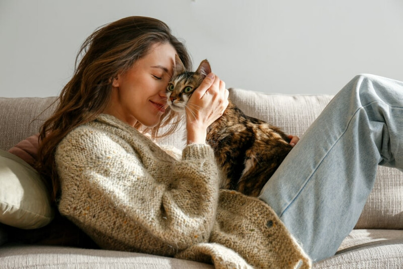 Пушистые терапевты: столичный психолог рассказала о пользе общения с кошками