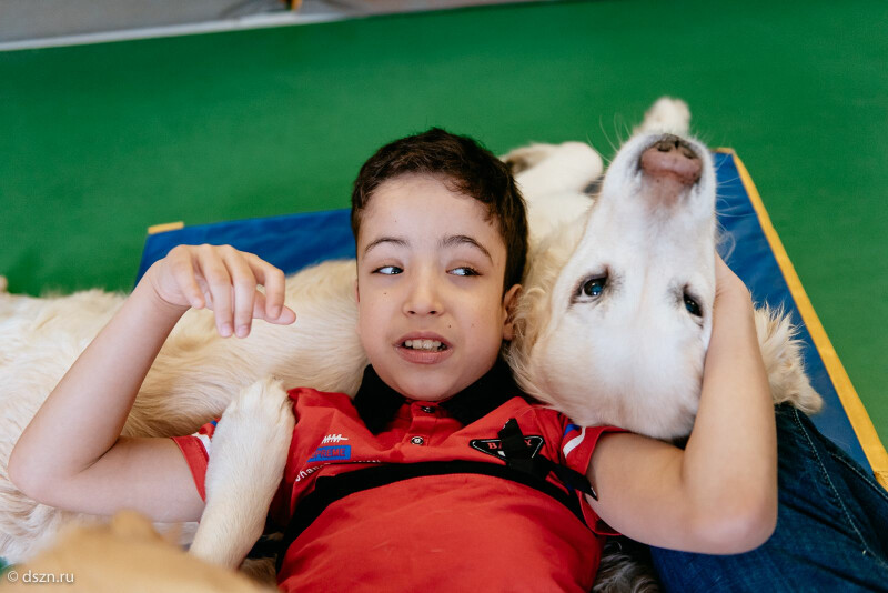 Мокрый нос от любой печали: как в Центре реабилитации детей-инвалидов «Формула роста» ребятам помогают собаки