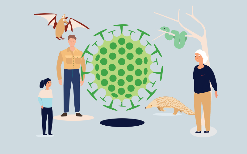 Что такое коронавирус и как обезопасить себя от него: пройдите онлайн-курс от экспертов Института ДПО