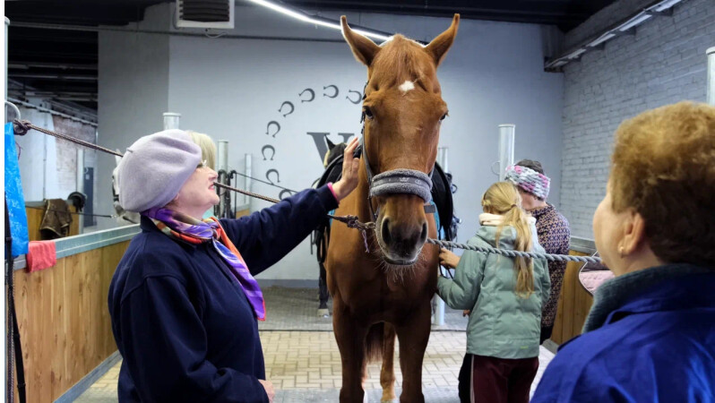 Москвичей старшего поколения приглашают научиться ухаживать за лошадьми и управлять самолётом