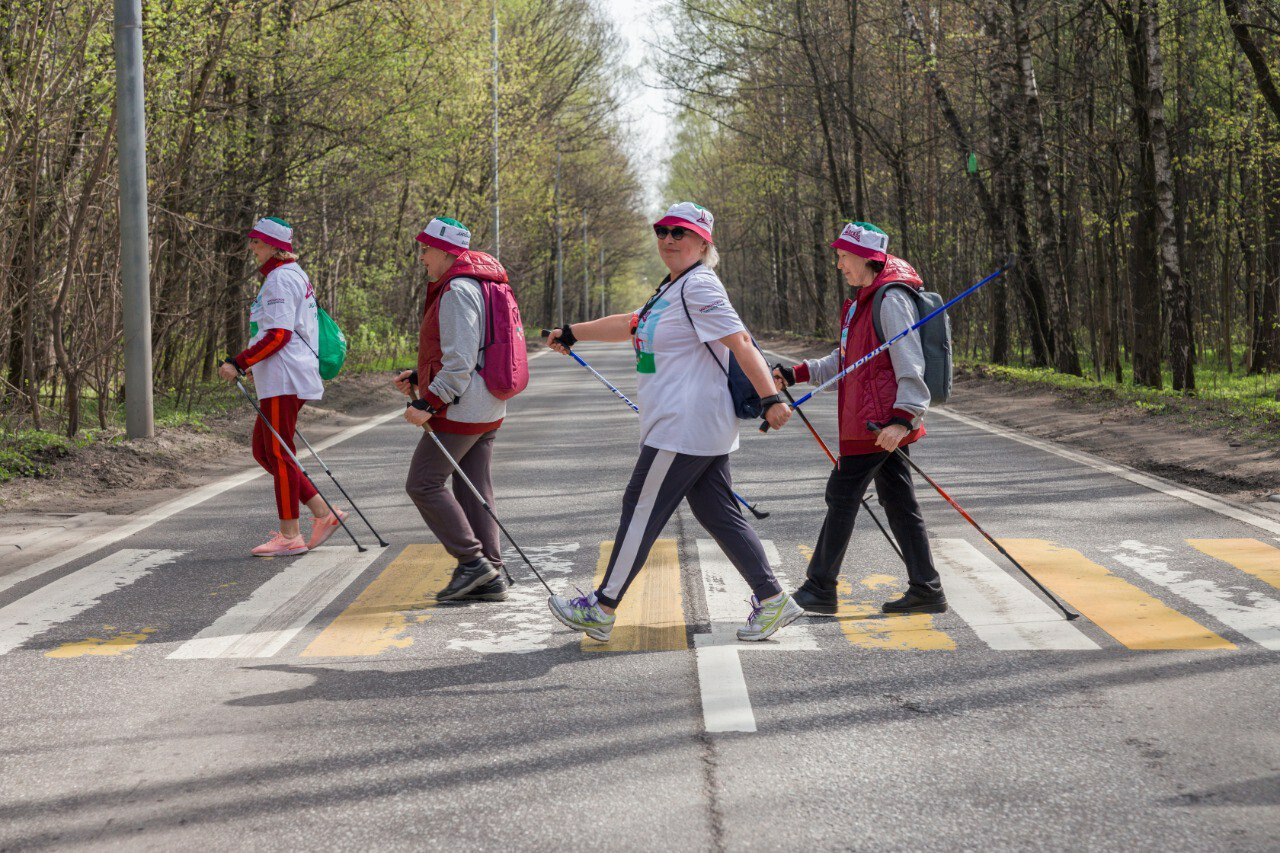 «Зеленое кольцо Москвы-2024»: участники «Московского долголетия» прошли пять километров со скандинавскими палками