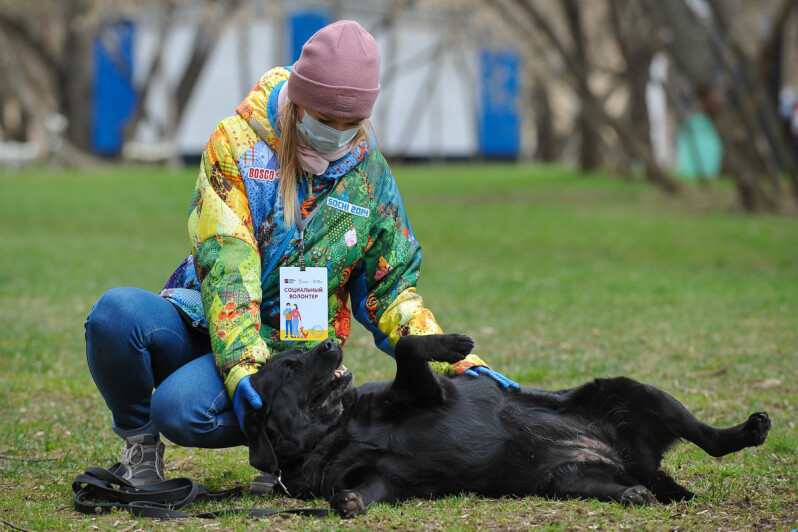 Новые друзья: собака-поводырь и волонтер объединили усилия, чтобы помочь хозяину