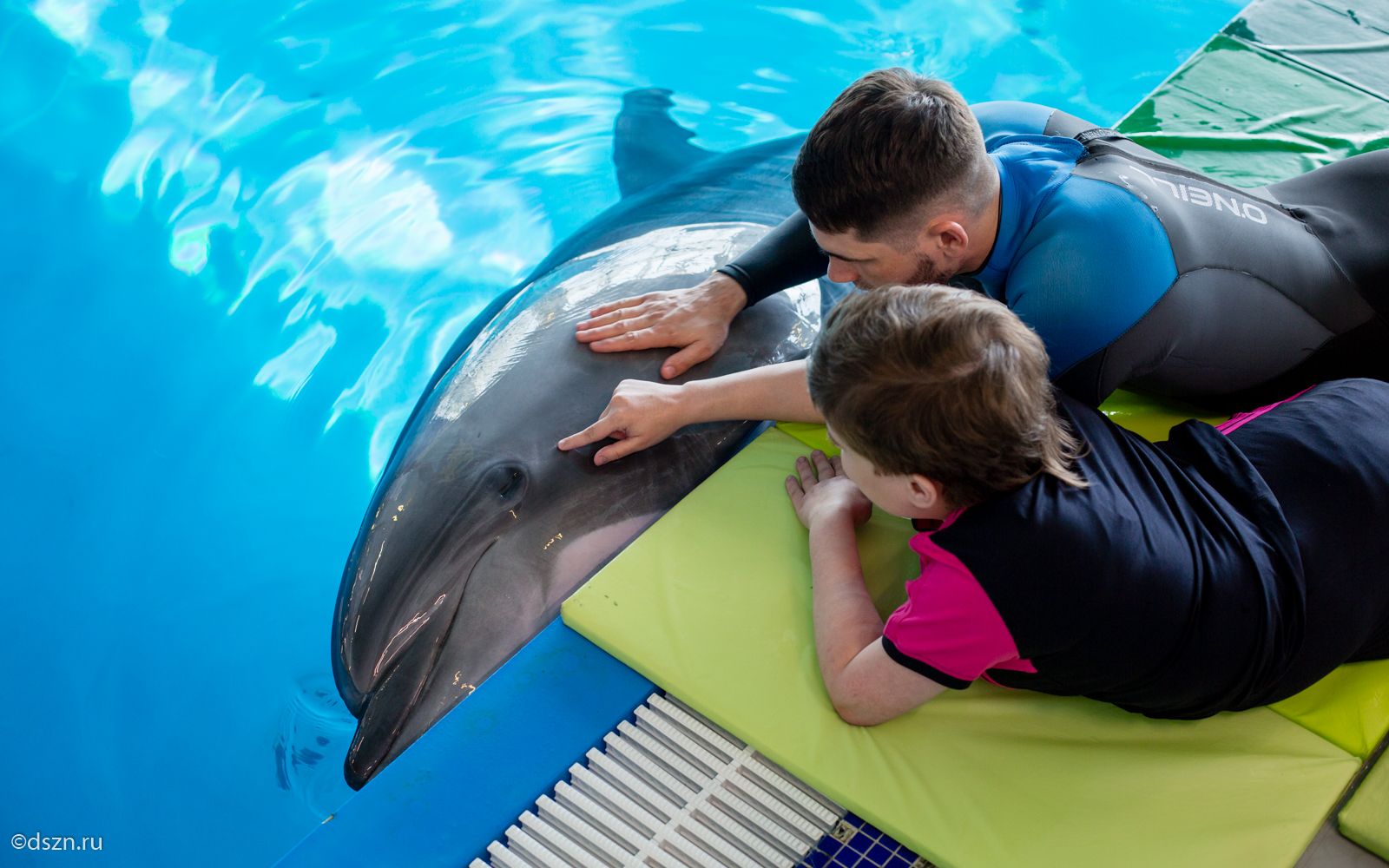 Интерактивное общение Ирины с дельфинами